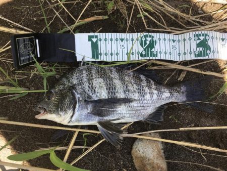 チニング～HAPPY RIDE ON！～　…